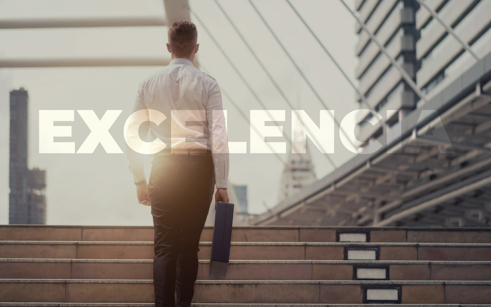 Principios que impulsan la excelencia