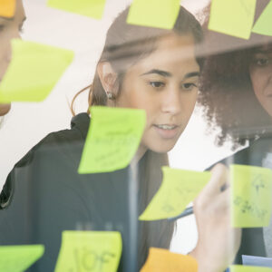 PROJECT MANAGEMENT PROFESSIONAL PMP