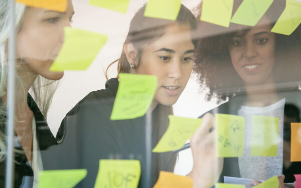 PROJECT MANAGEMENT PROFESSIONAL PMP