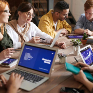 PROJECT MANAGEMENT PROFESSIONAL (PMP)