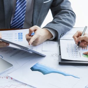 GESTIÓN BÁSICA DE LA TESORERÍA