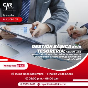 GESTIÓN BÁSICA DE LA TESORERÍA