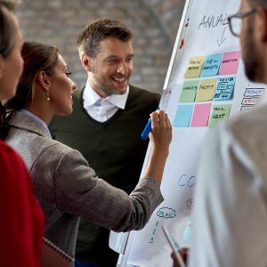 PROJECT MANAGEMENT PROFESSIONAL (PMP)