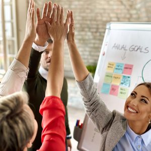 LIDERAZGO MOTIVACIONAL -TECNICAS Y ESTRATEGIAS BASICAS PARA MOTIVACION DE GRUPOS